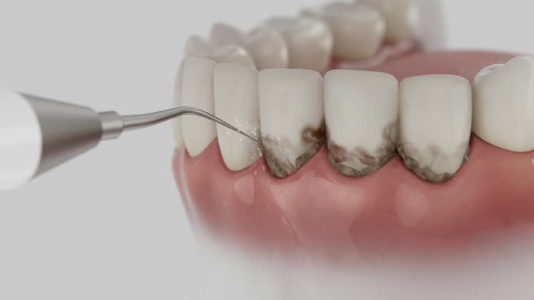 Reliable Dental contractor in Mount Olive, NC by Dentist Open Now